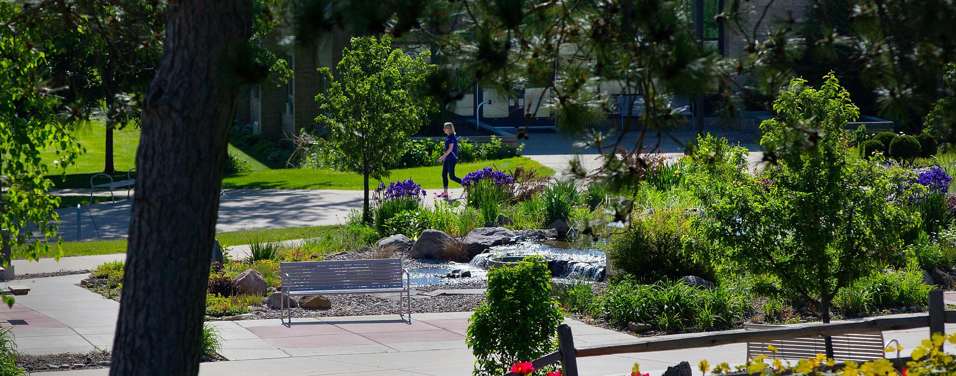 Photo of a college quad with a stream trickling alongside trees and plants in full bloom.